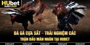 đá gà cựa sắt