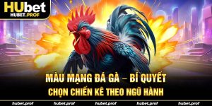 màu mạng đá gà